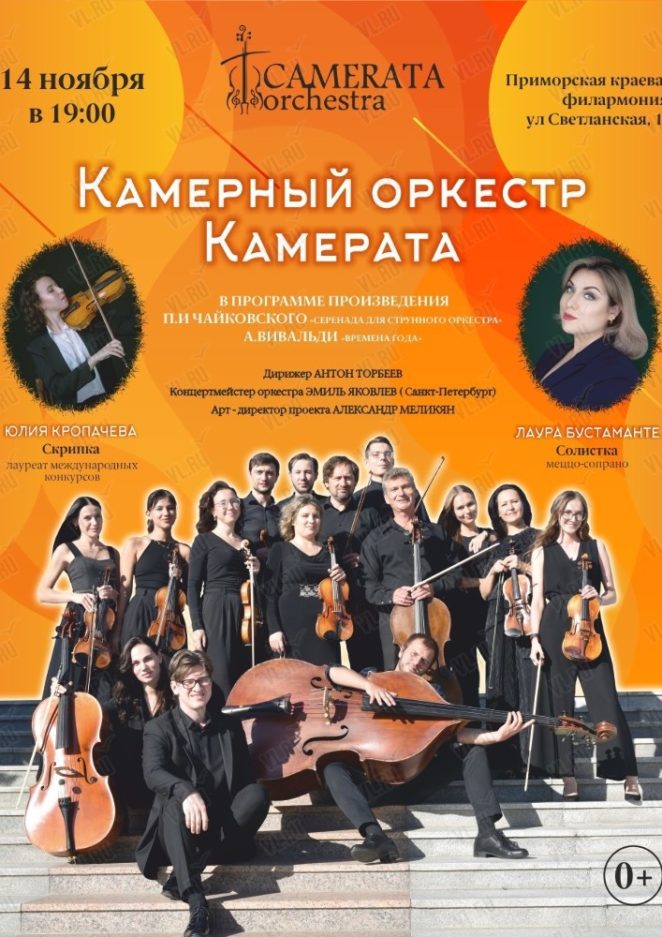 14 ноября Концерт камерного оркестра "Камерата"